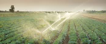 Irrigation