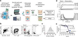 Respiratory syncytial virus