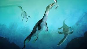 Nothosaur